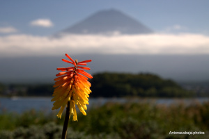 Mount Fuji-011