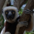 Madagascar-027.jpg