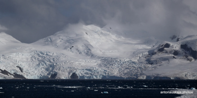 Antarctica-065