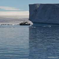 Antarctica-048