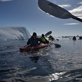 Antarctica-049.JPG