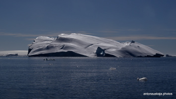 Antarctica-053