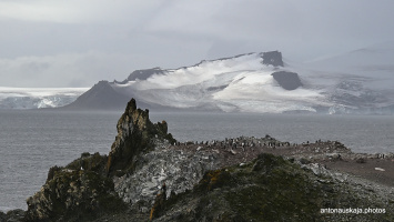 Antarctica-064